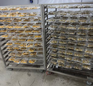 To the left are cooked M. mecenaria clams and cooked hybrids to the right